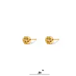 گوشواره میخی دایره چکش خور مه گالری